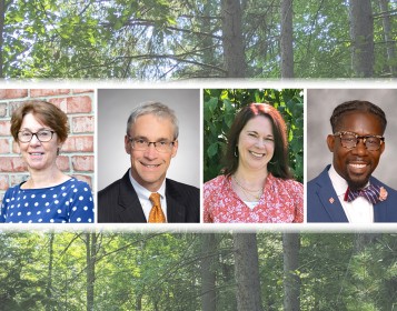 Board Members blog
