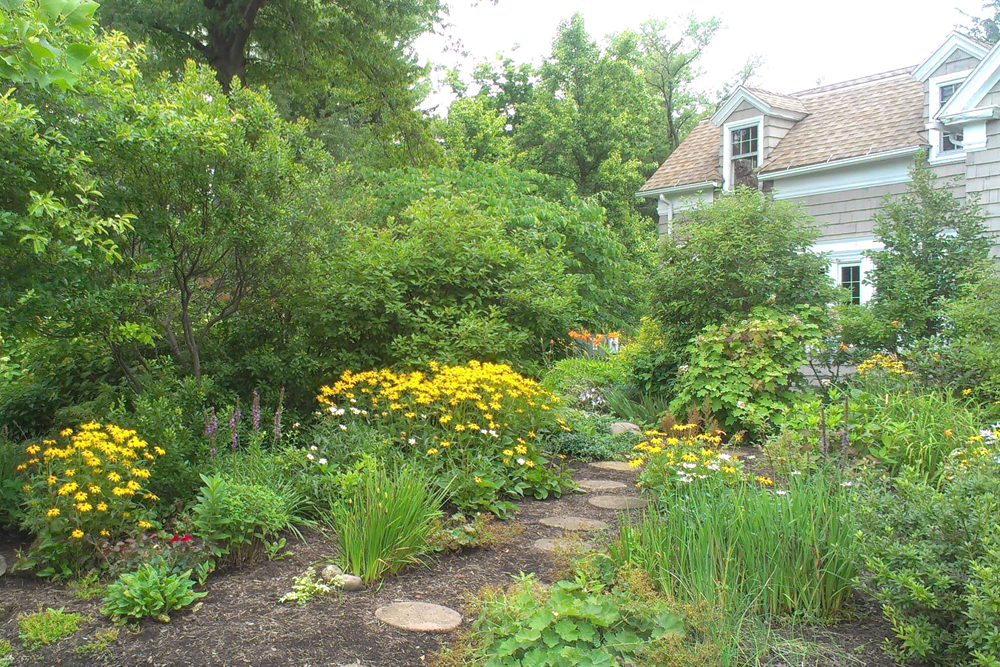 Carrie T Watson Garden news