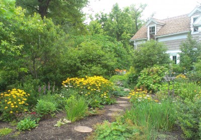 Carrie T Watson Garden news