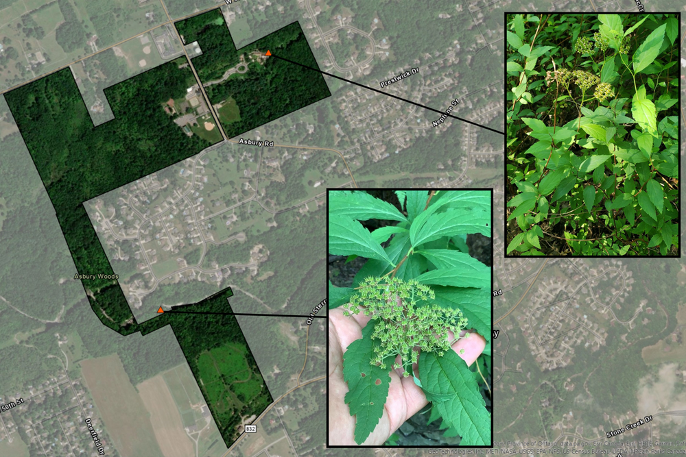 Conservation and Stewardship Plan Blog