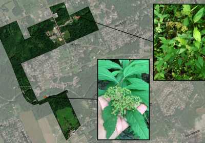 Conservation and Stewardship Plan Blog