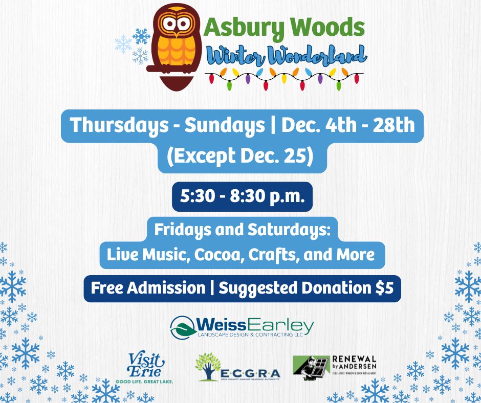 Winter Wonderland 2026 5 v2