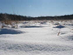 Winter landscape near Edinboro PA
