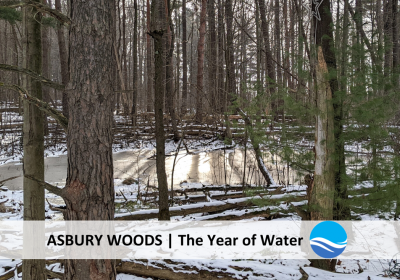 Year of Water blog