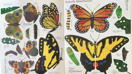Butterfly ID Page