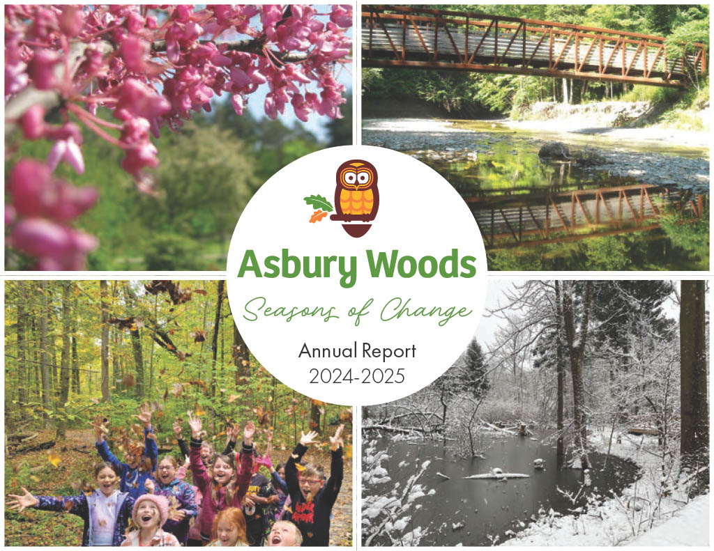 1772650152329 08e30a16 03f9 424b 90ae 98a791d42625 1