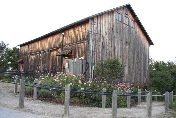 Barn web