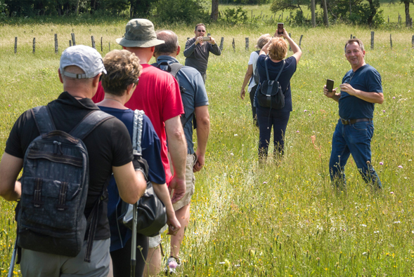Community Walk web