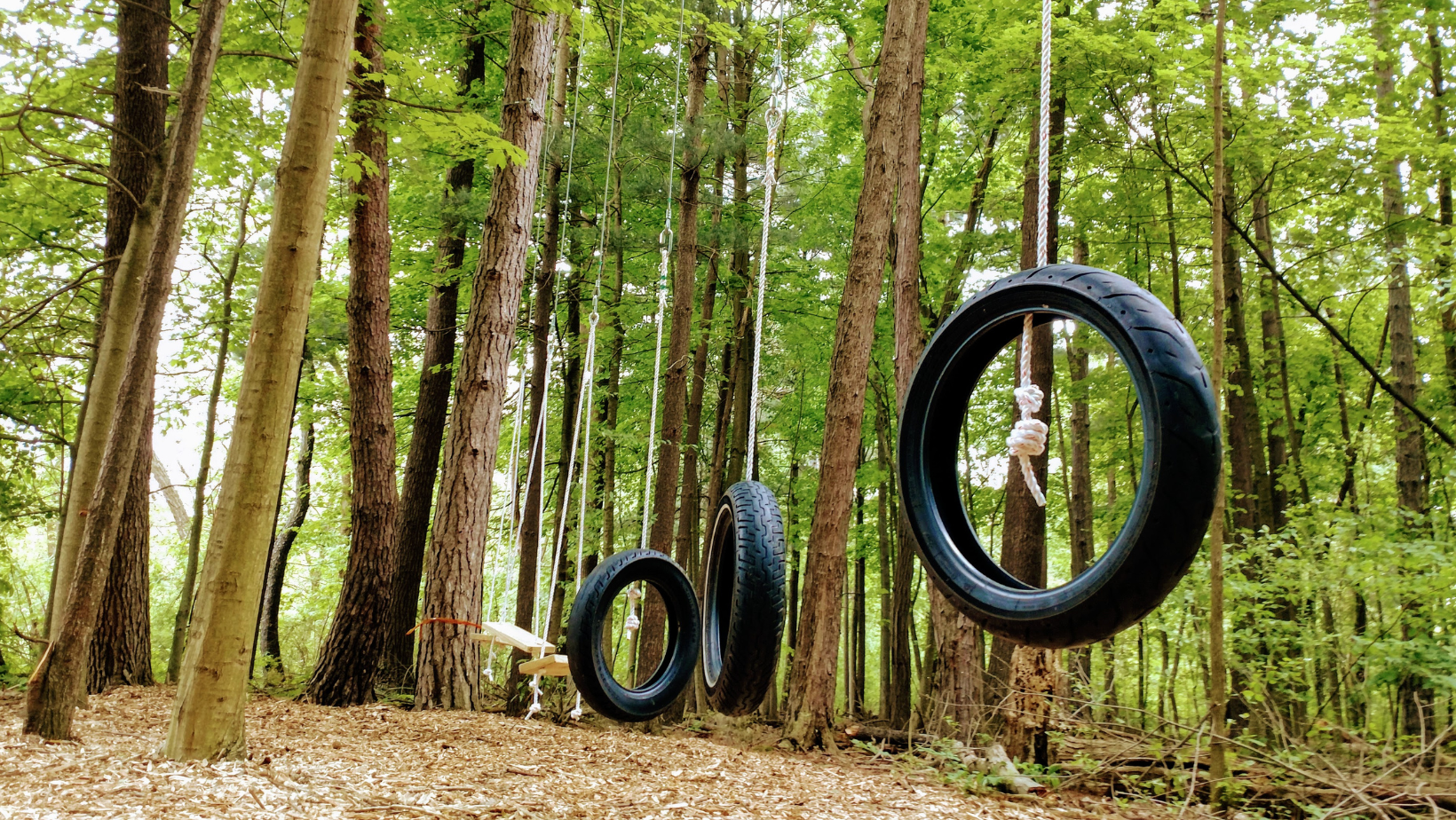 Experiences low Ropes