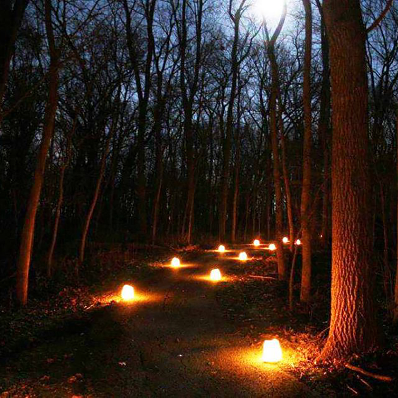 Luminaria