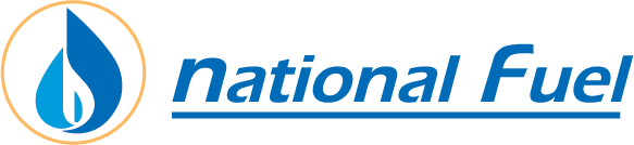 NF LOGO