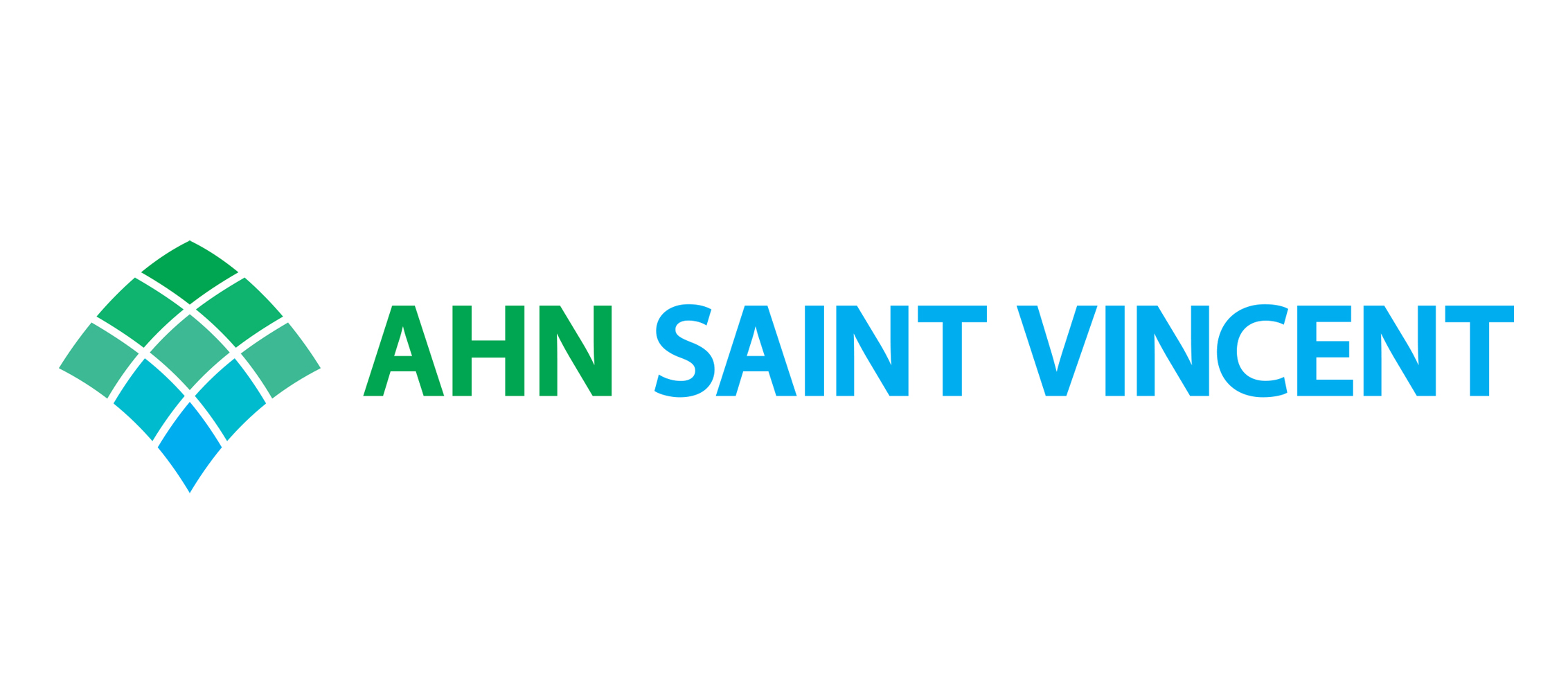 SVAHN WEB 2022