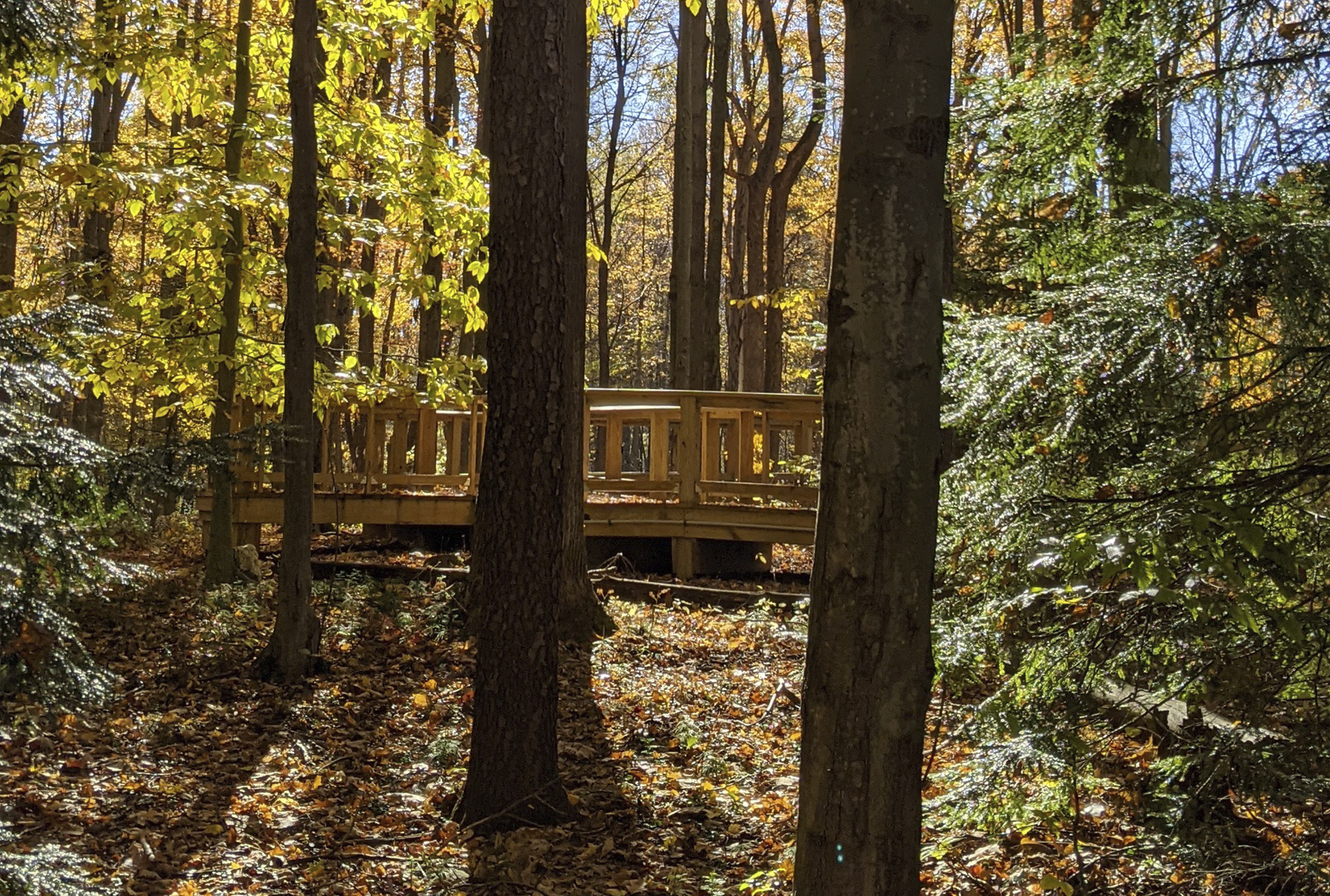 Trail Run Fall scenic