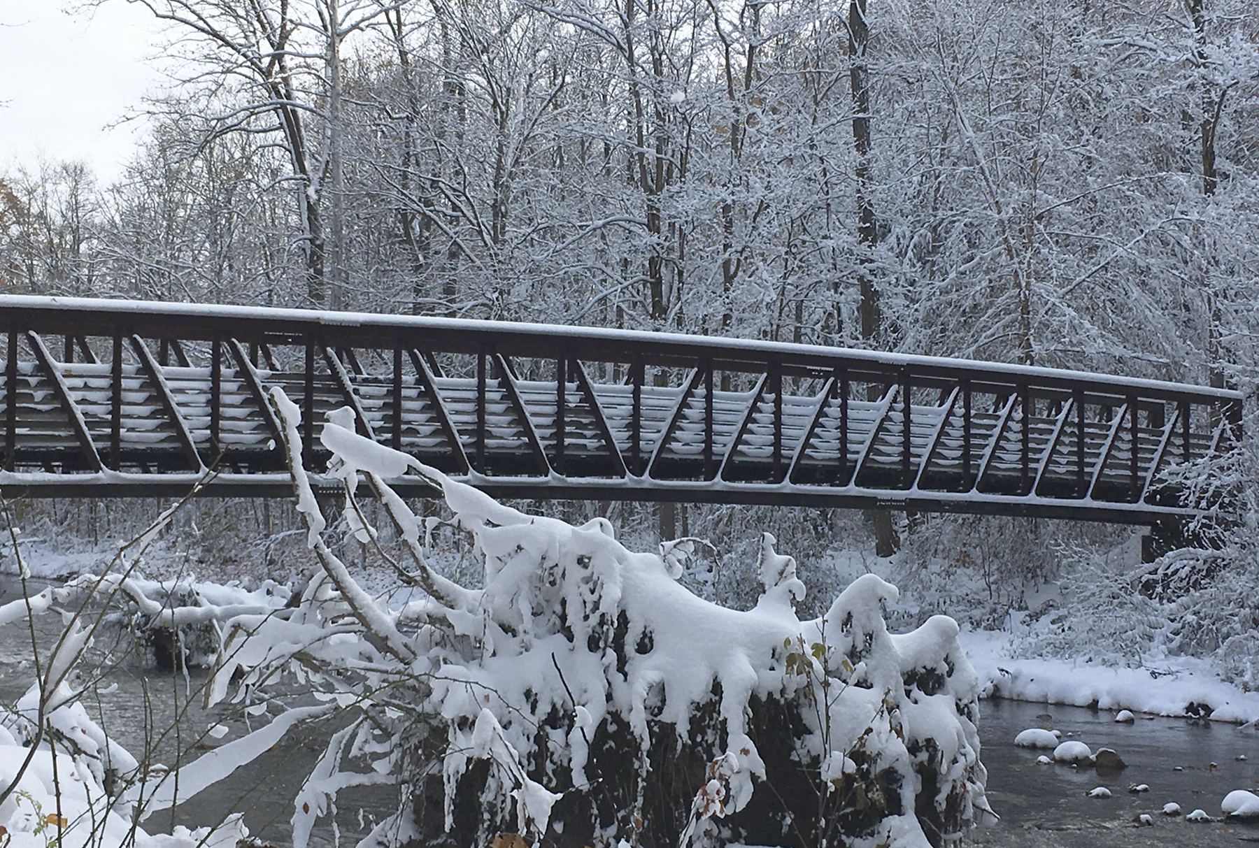 Trail Run Winter scenic