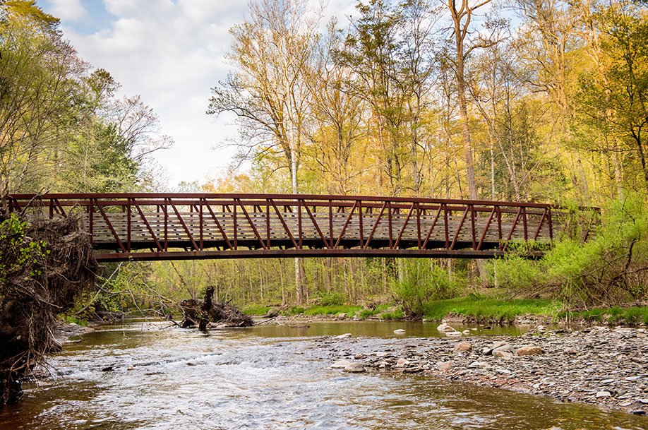 bridge during fall