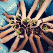 community program tout