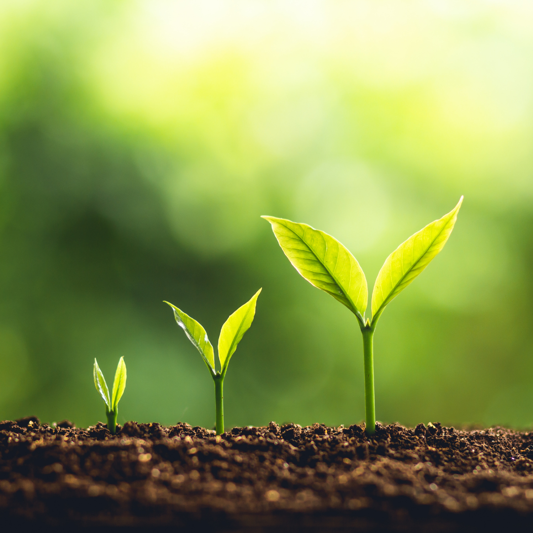 monthly sustainer program