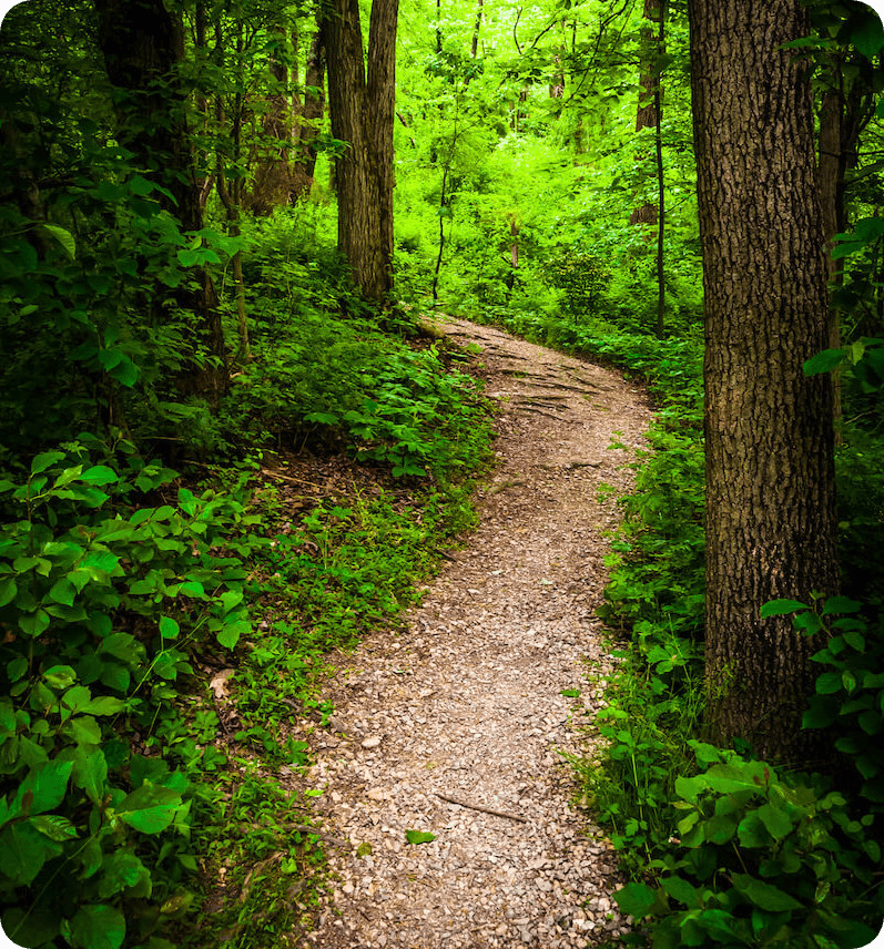 trails v2