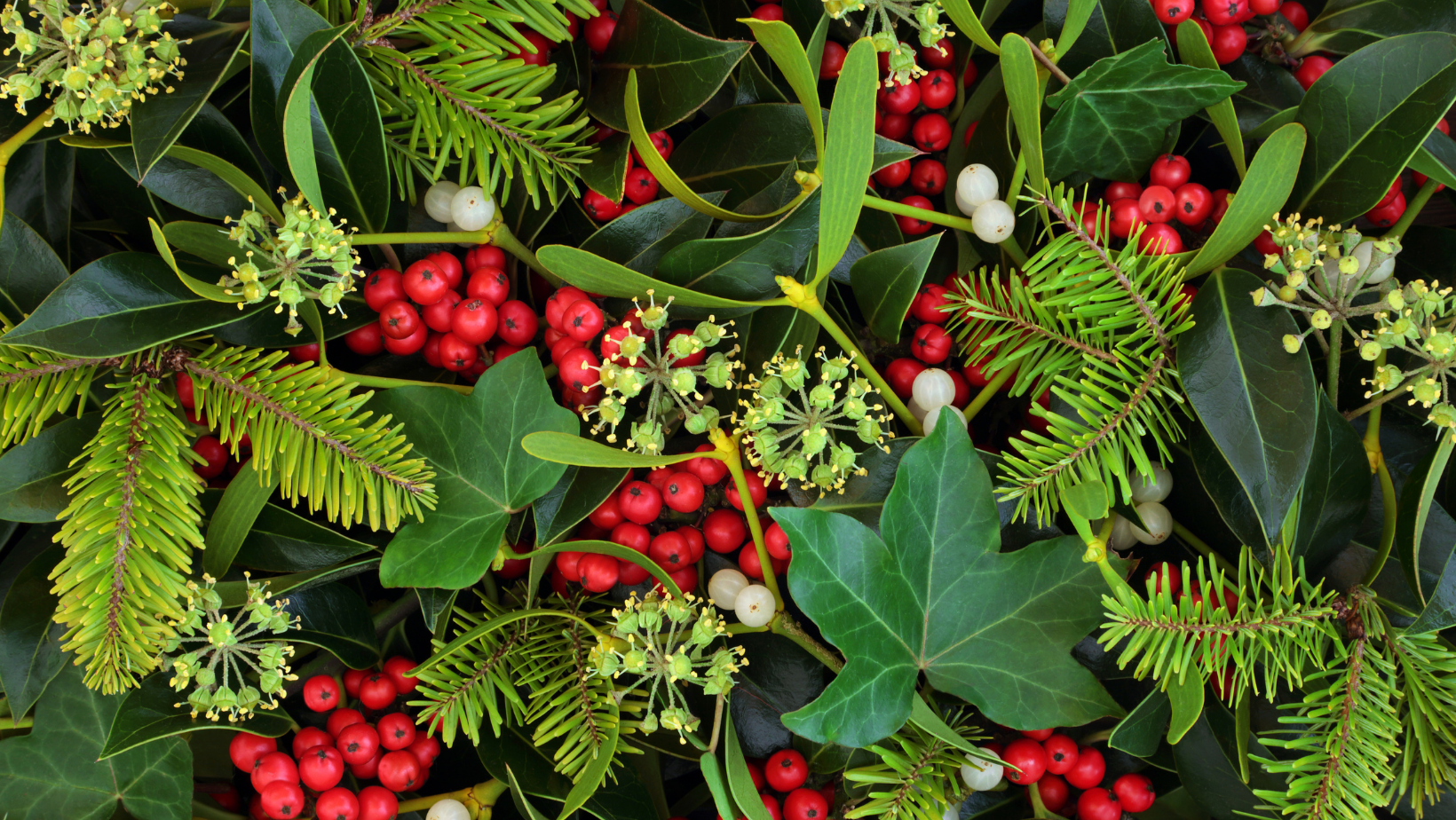 Holiday background