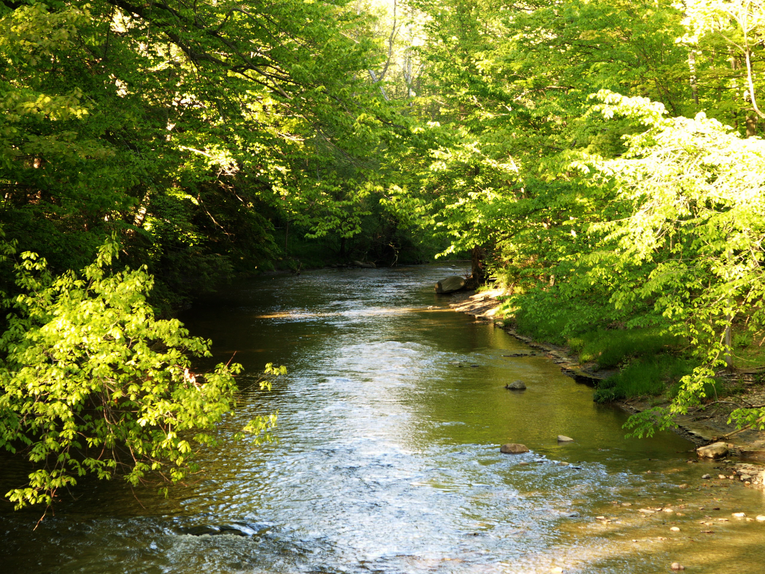 Walnut Creek at Asbury Woods
