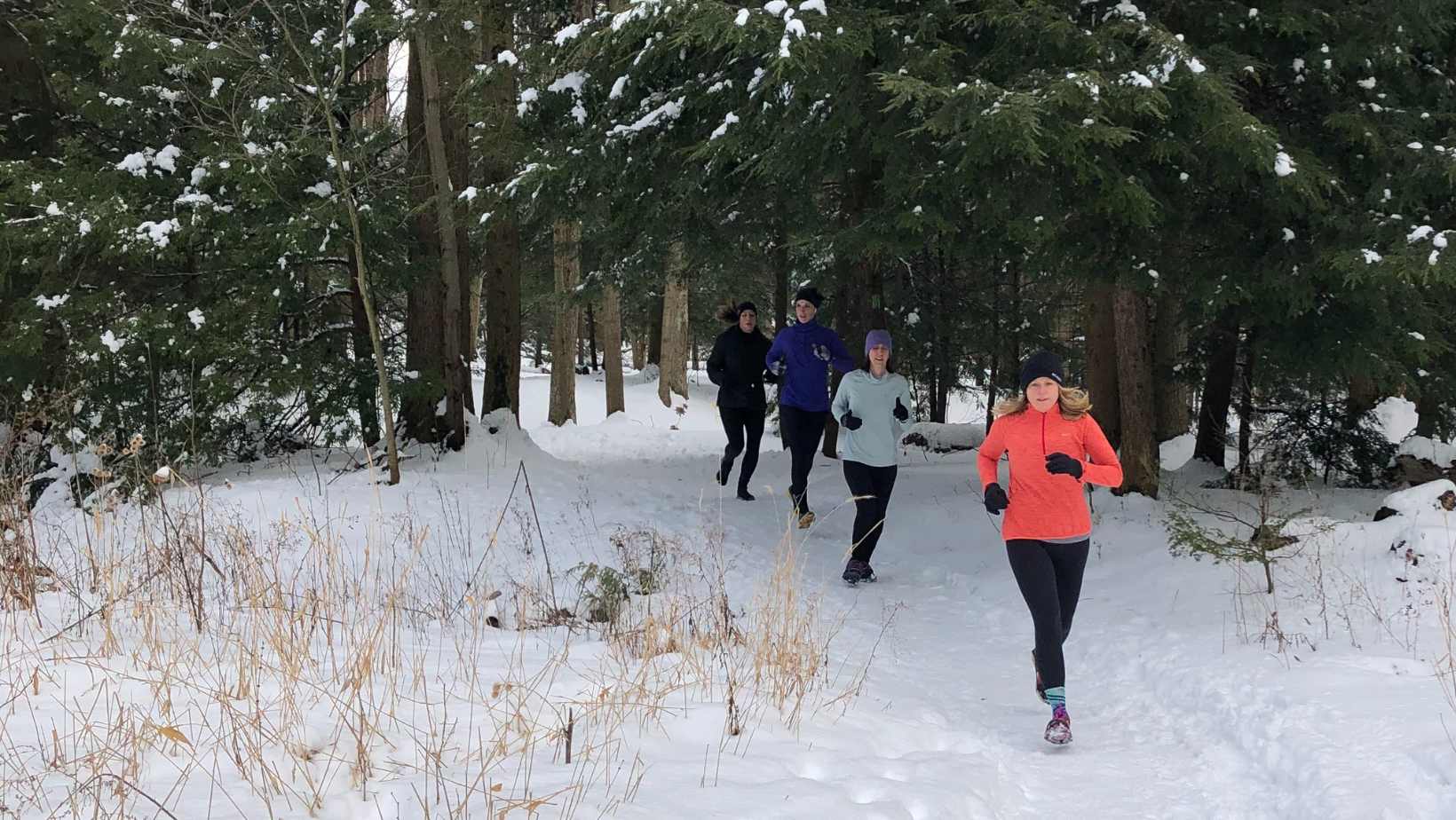 4 mile Trail Run image