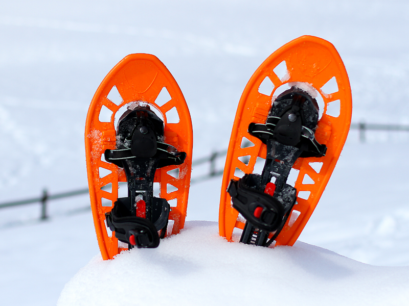 SnowShoe generic image