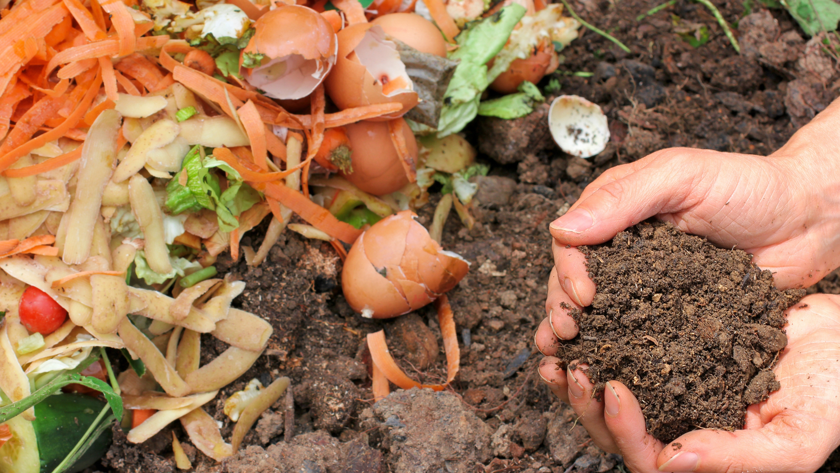 Compost Workshop