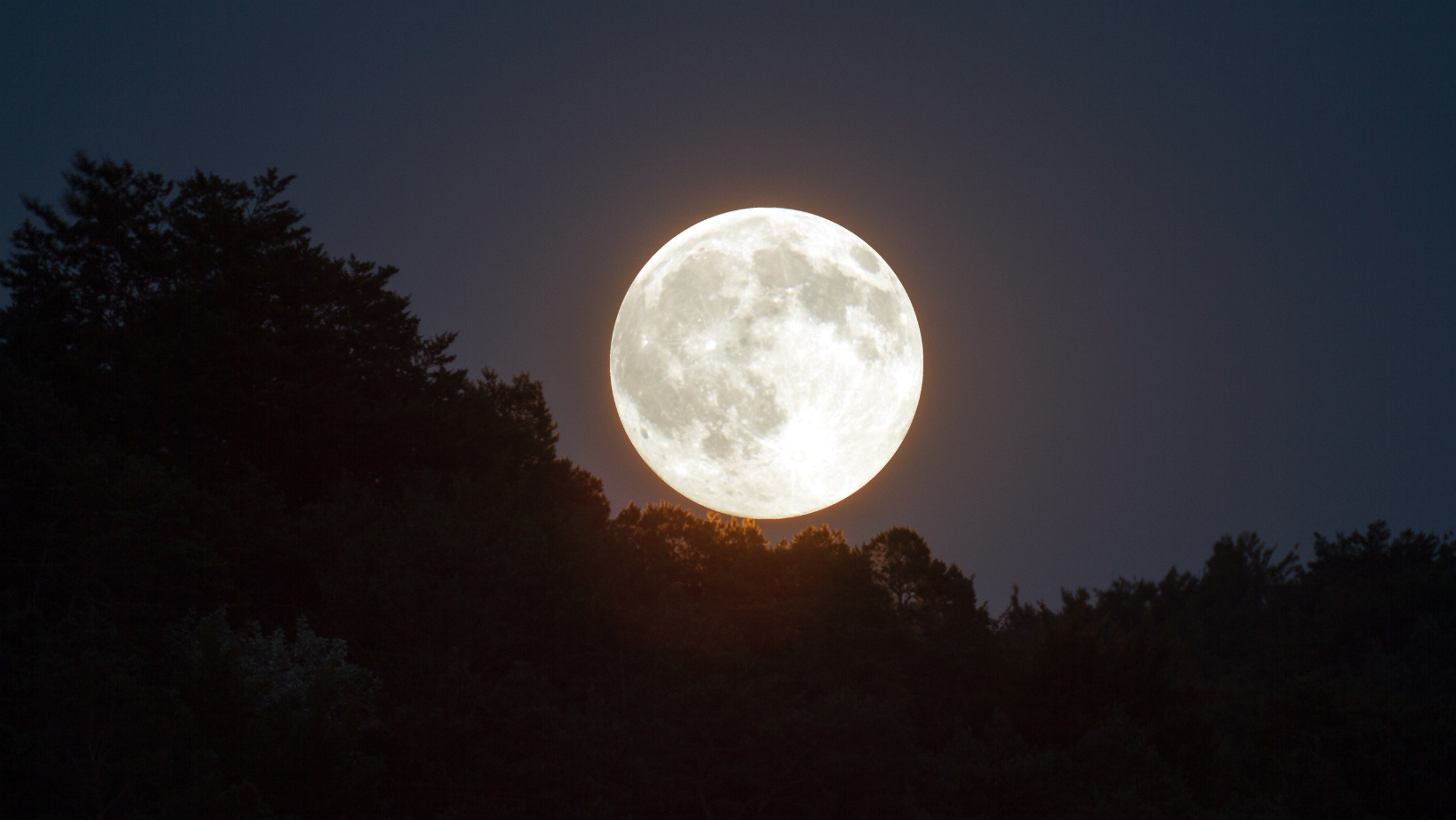 FullMoonHike image