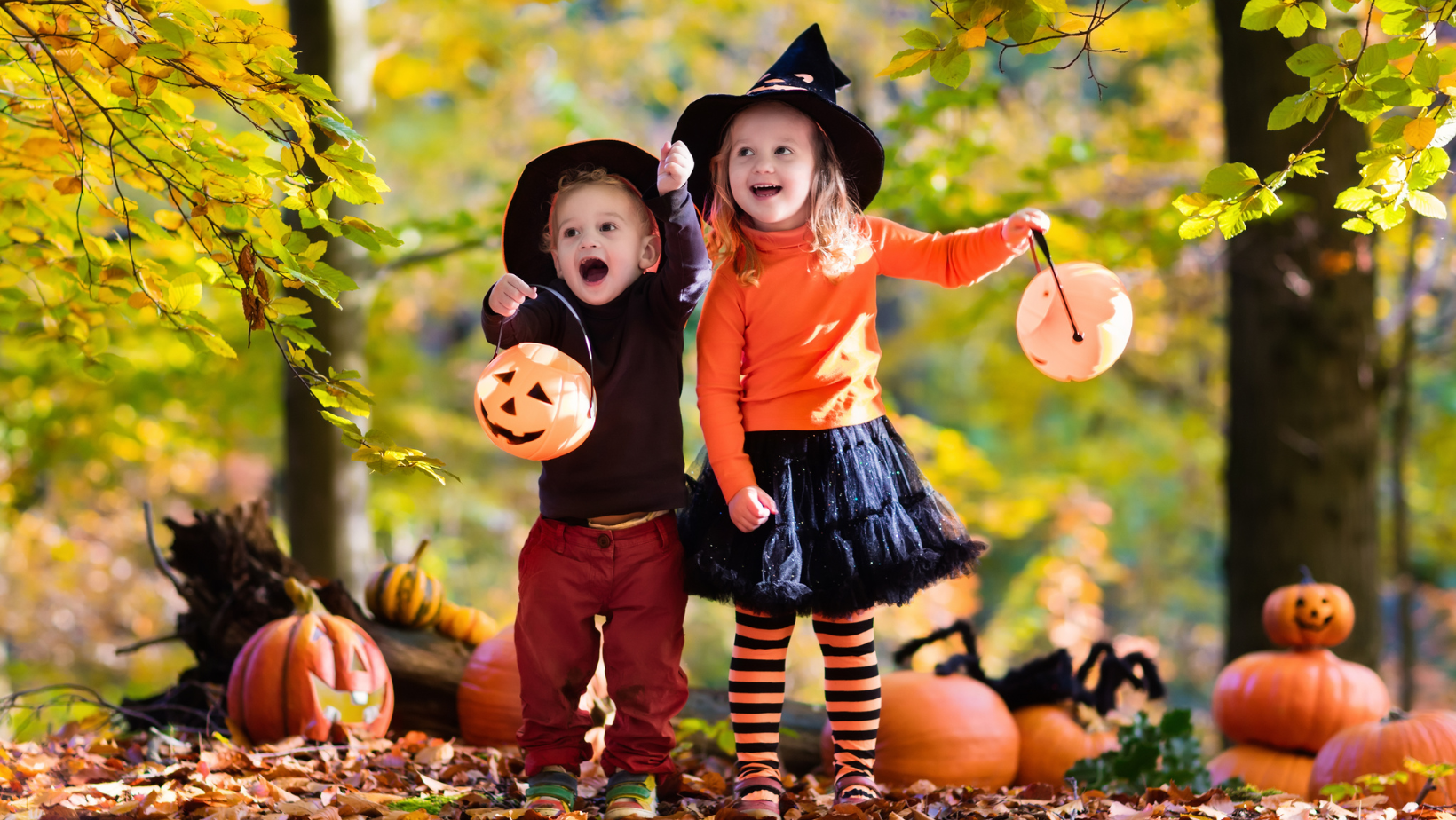 Little Pumpkins