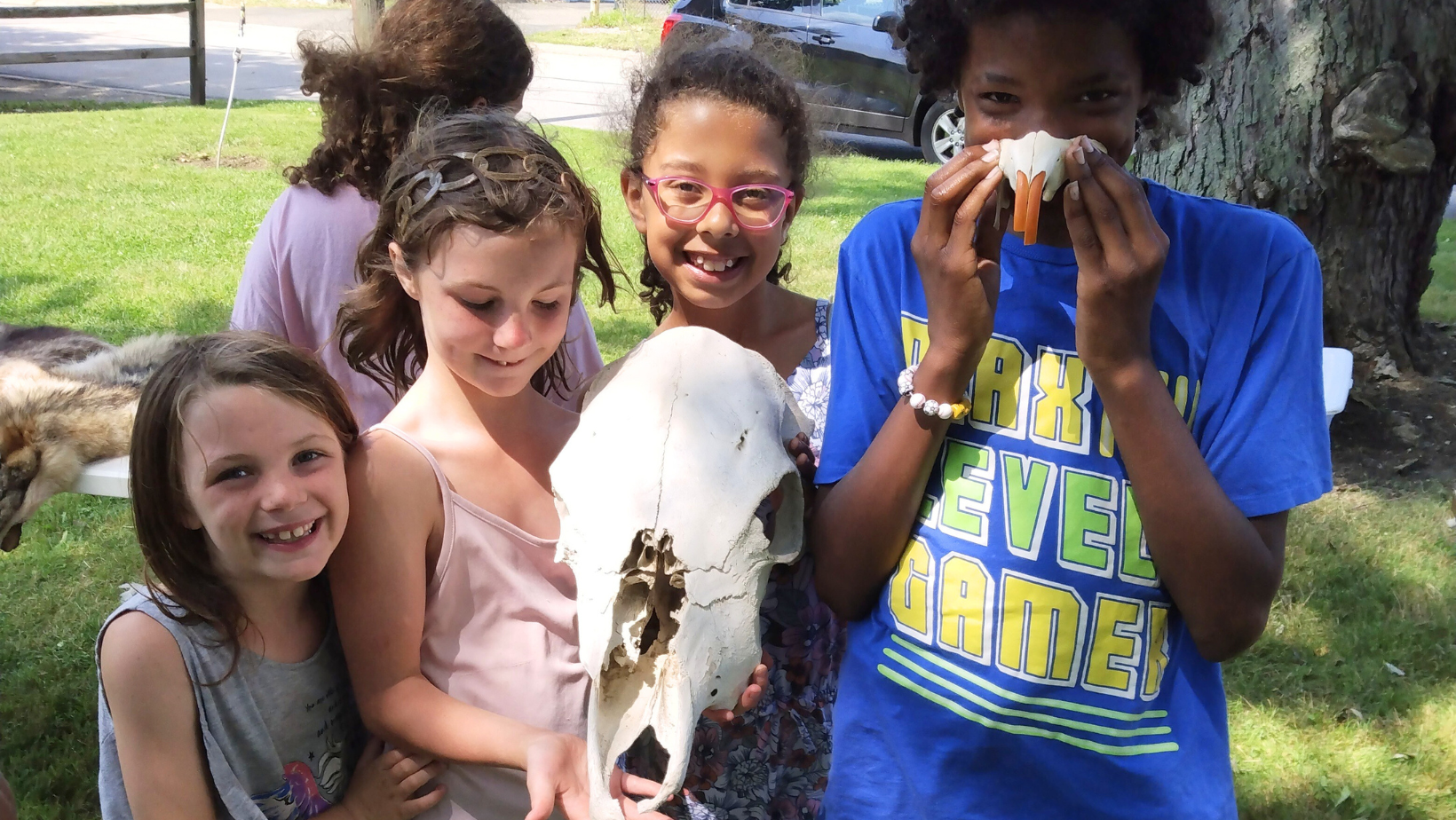 NIYN image Skulls and Pelts