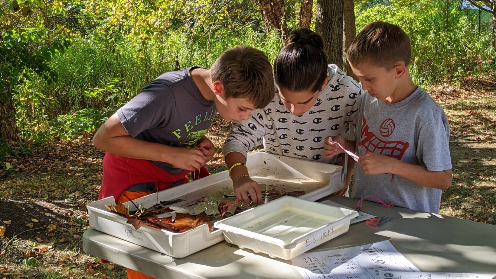 NIYN image Underwater Creatures