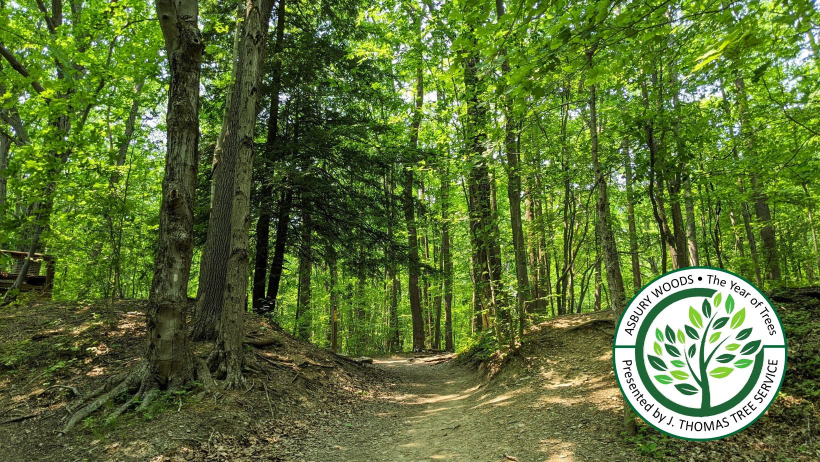 National Day of Forests image