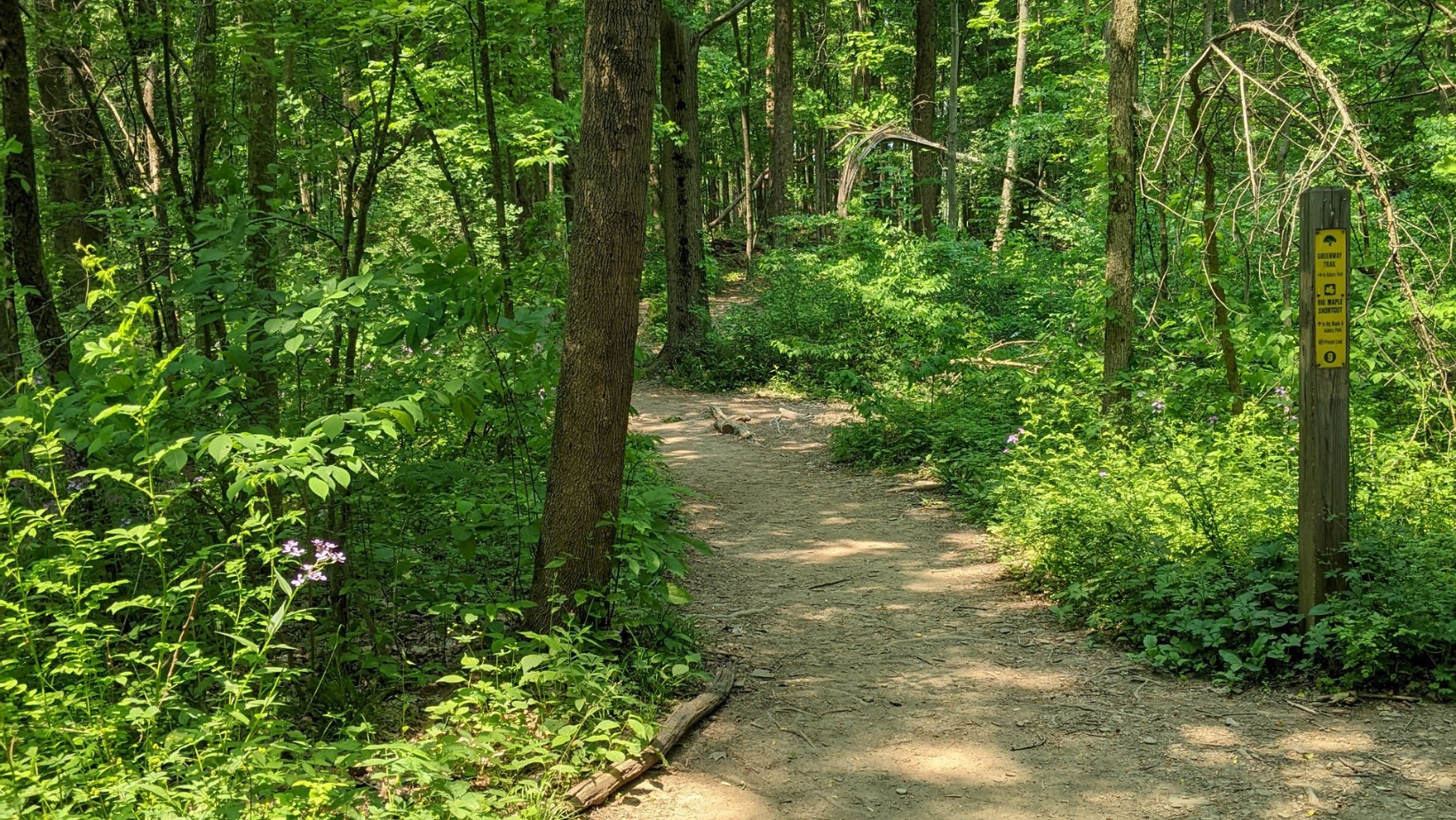 NationalTrailsDay image