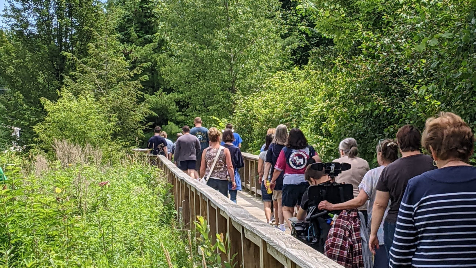 Nature Exploration with Disabilities image