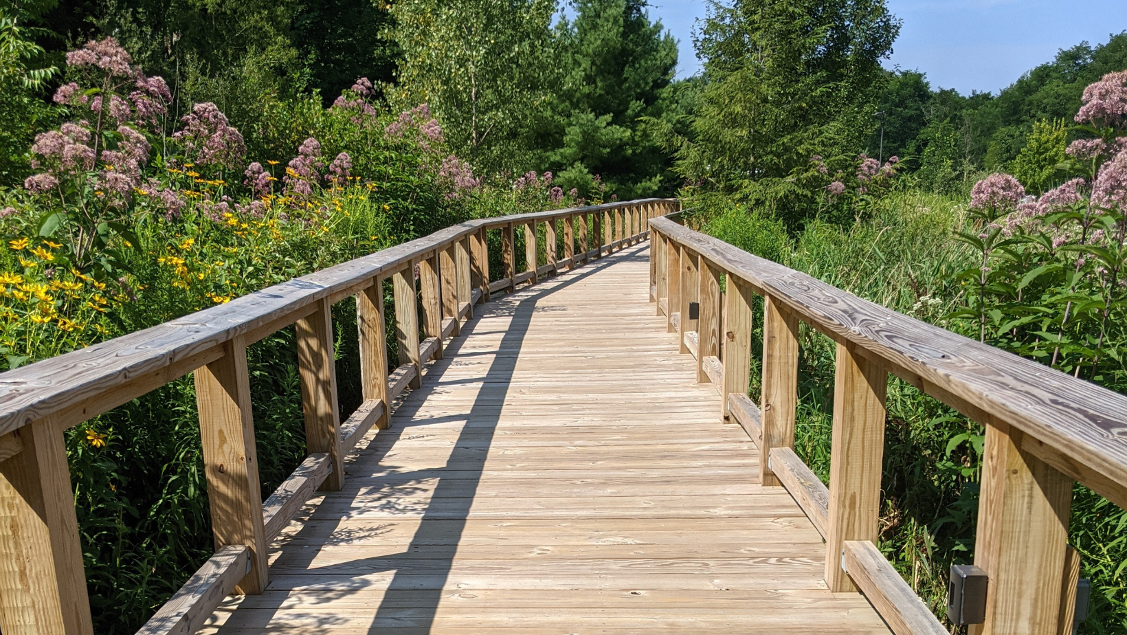 NatureExplorationAdultsDisabilities image