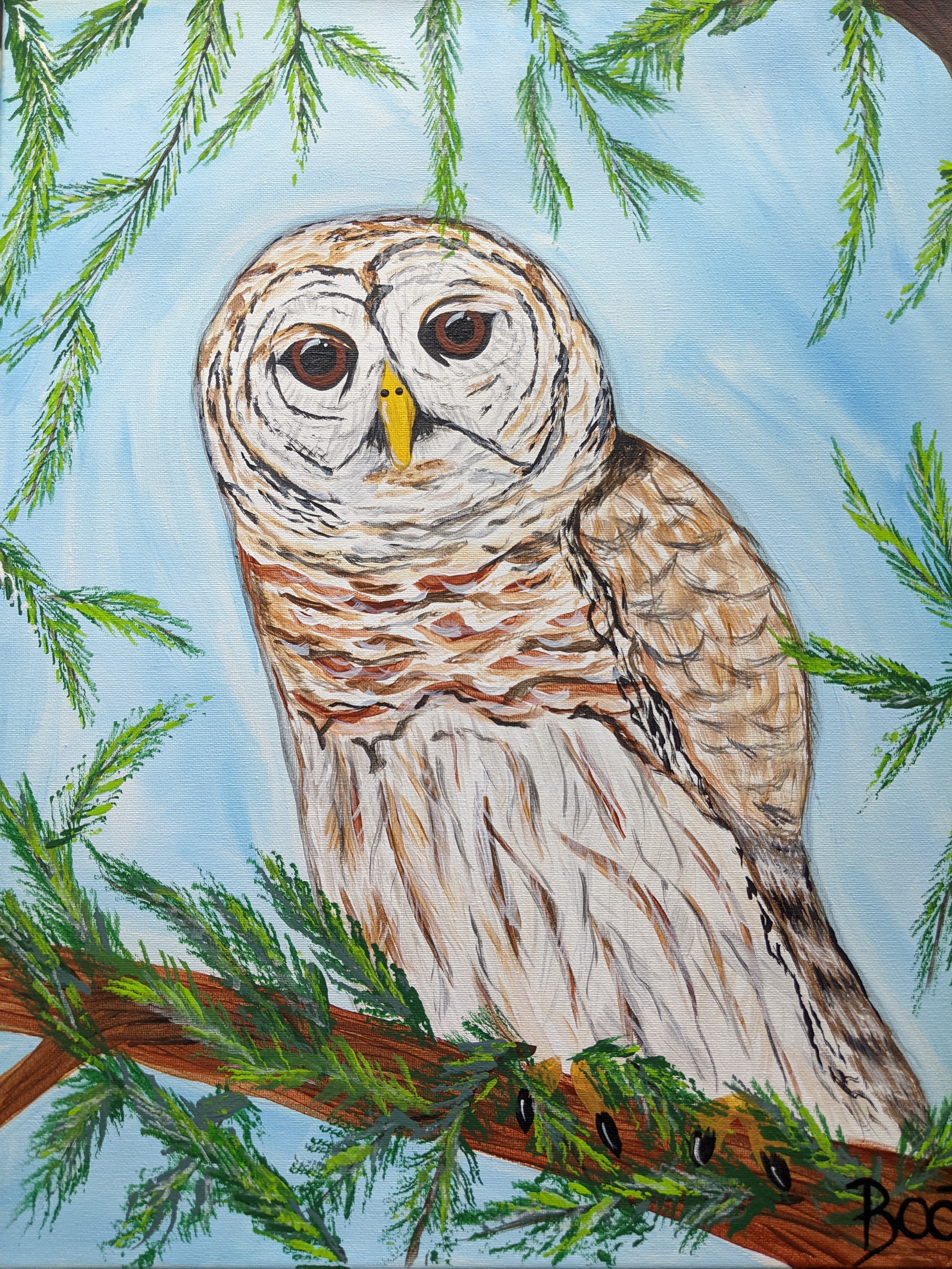 Painted Owl 2
