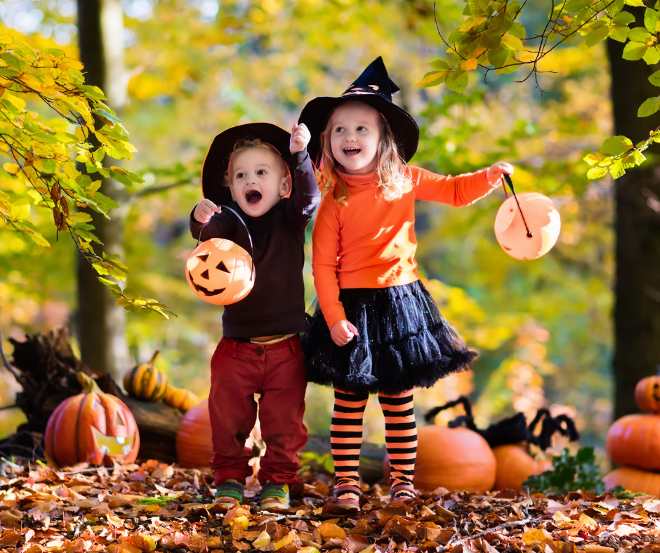 PumpkinPatchHunt Newsletter