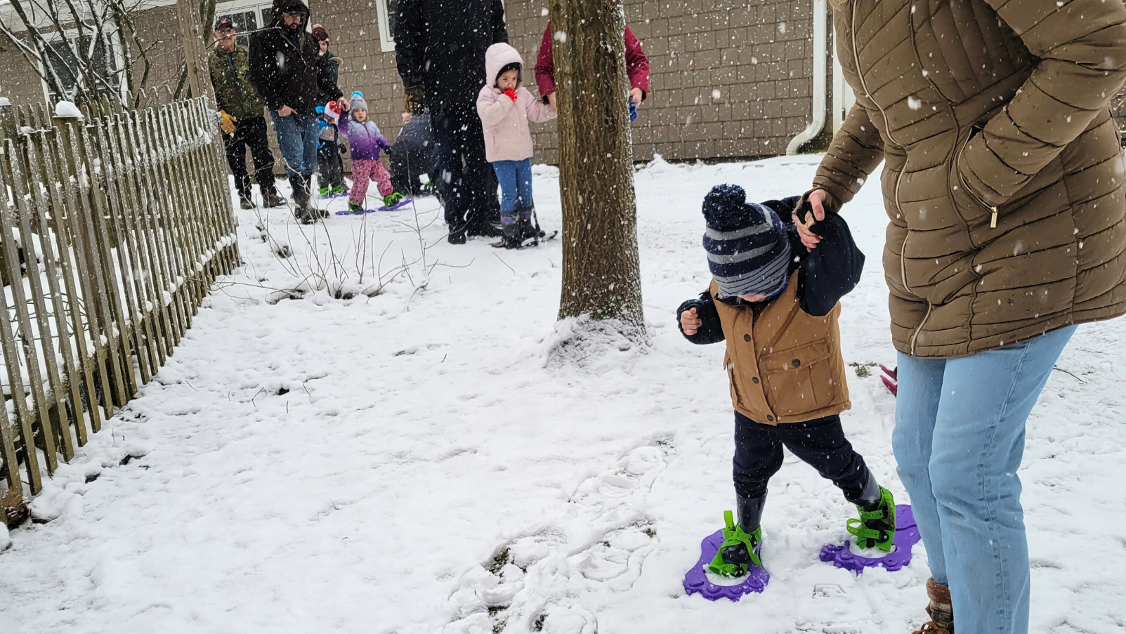 Snow Sprouts image v2