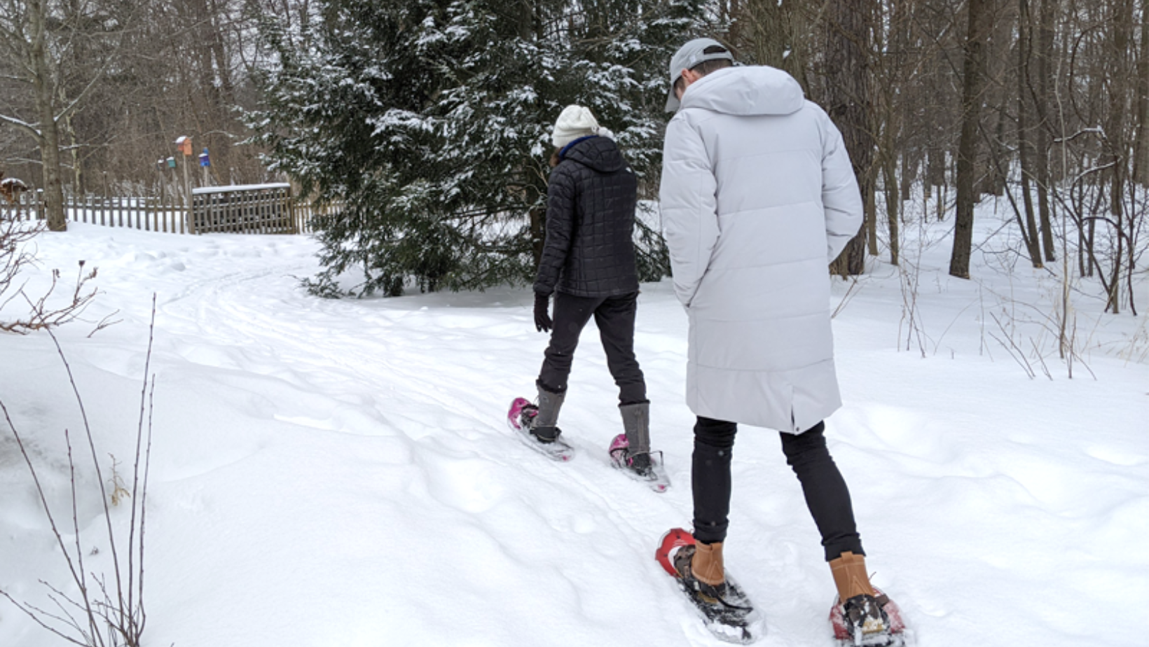Snowshoe Clinic image