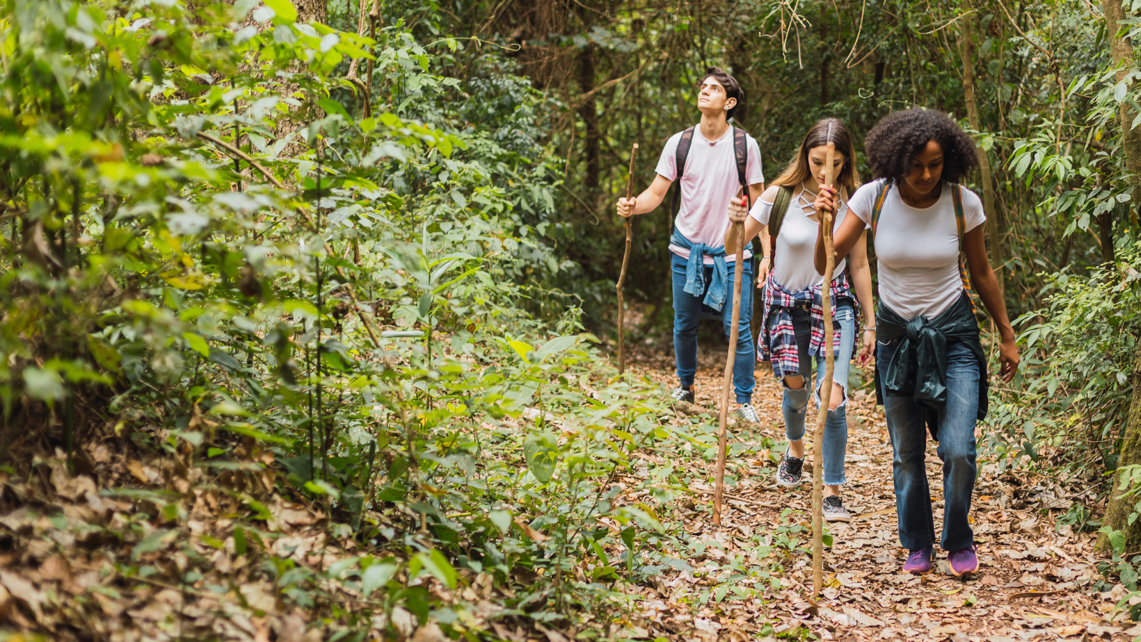 WalkingWednesdays image