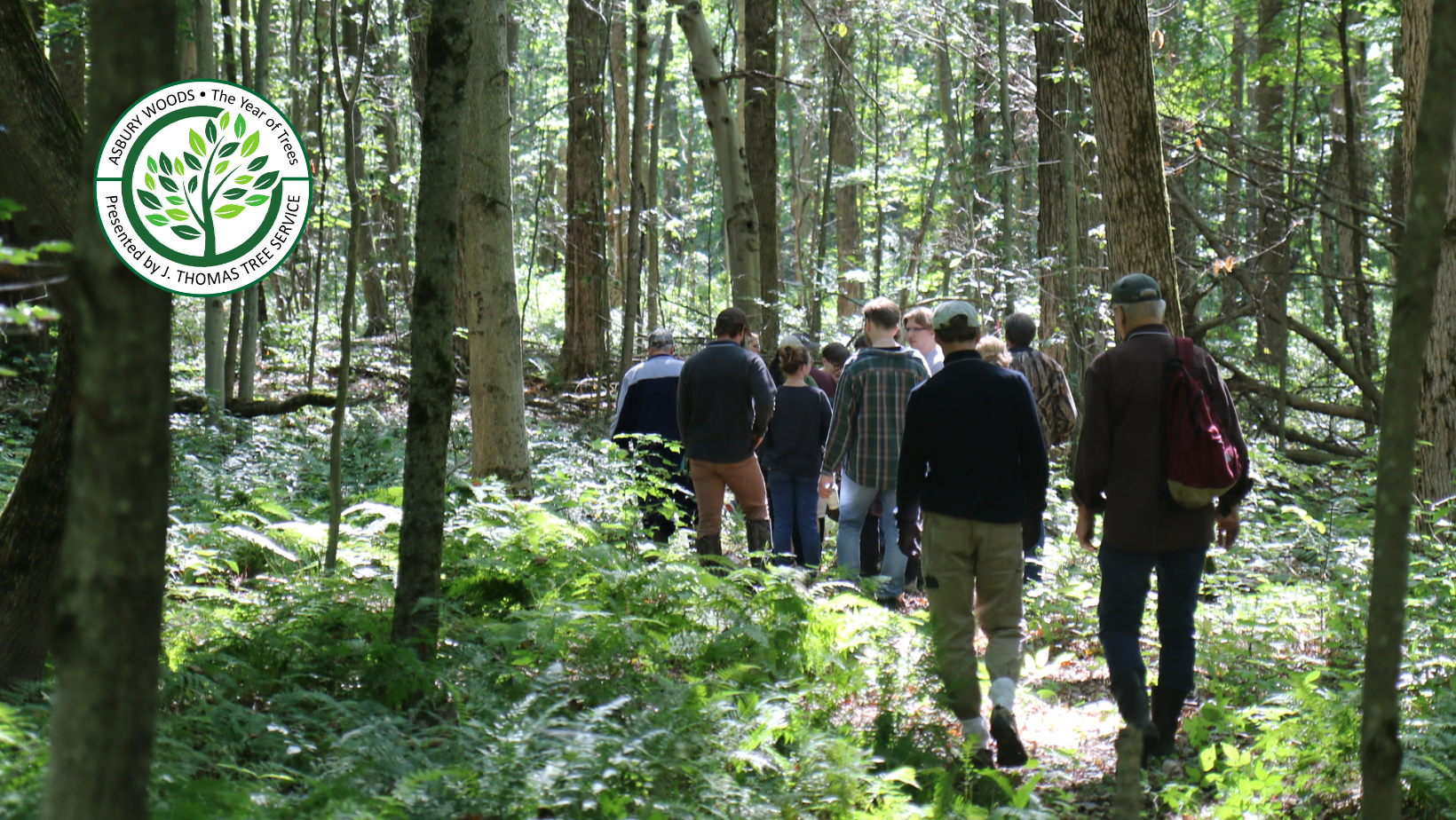 WoodsWalk image YOT