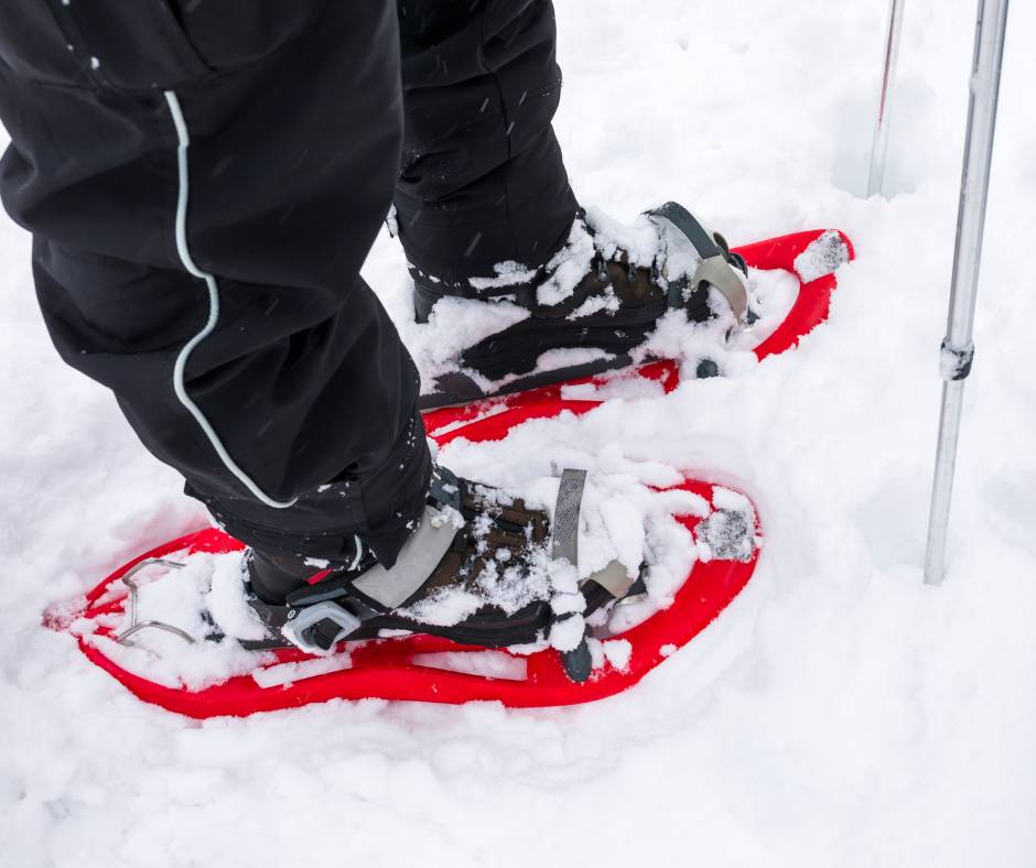 SnowshoeClinic Newsletter