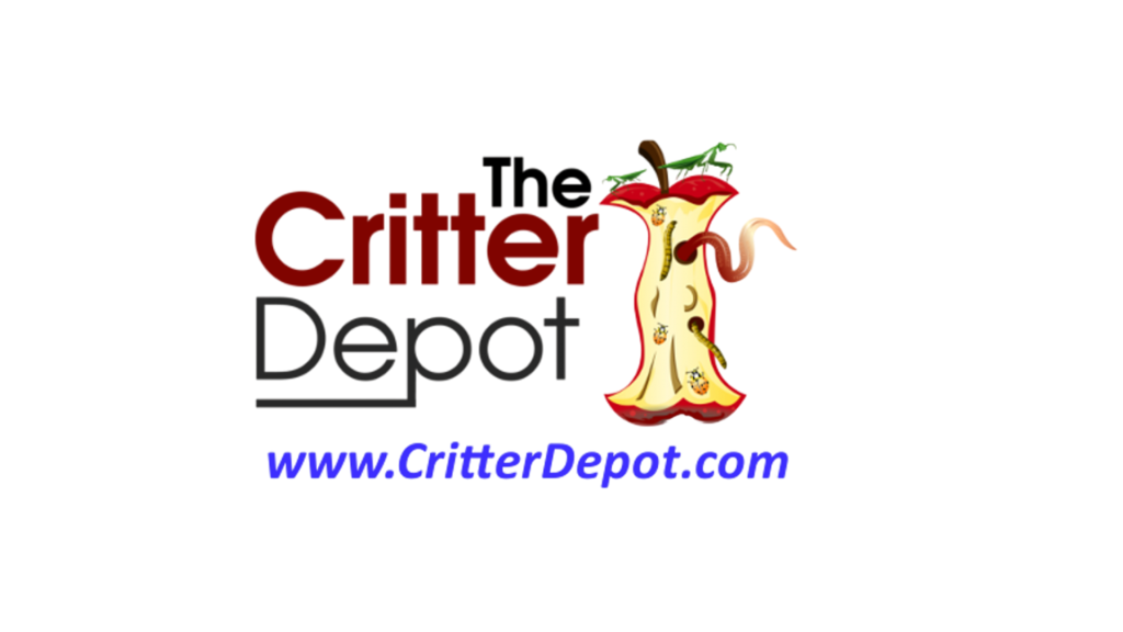 Wine and Dine Logos 2023 10 ScaleMaxWidthWzEwMjRd