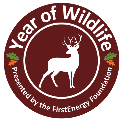 Year of Wildlife Presented by the FirstEnergy Foundation v2