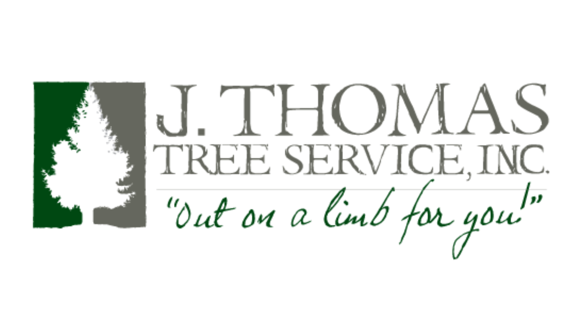 HEMLOCK J.Thomas Tree Sericves